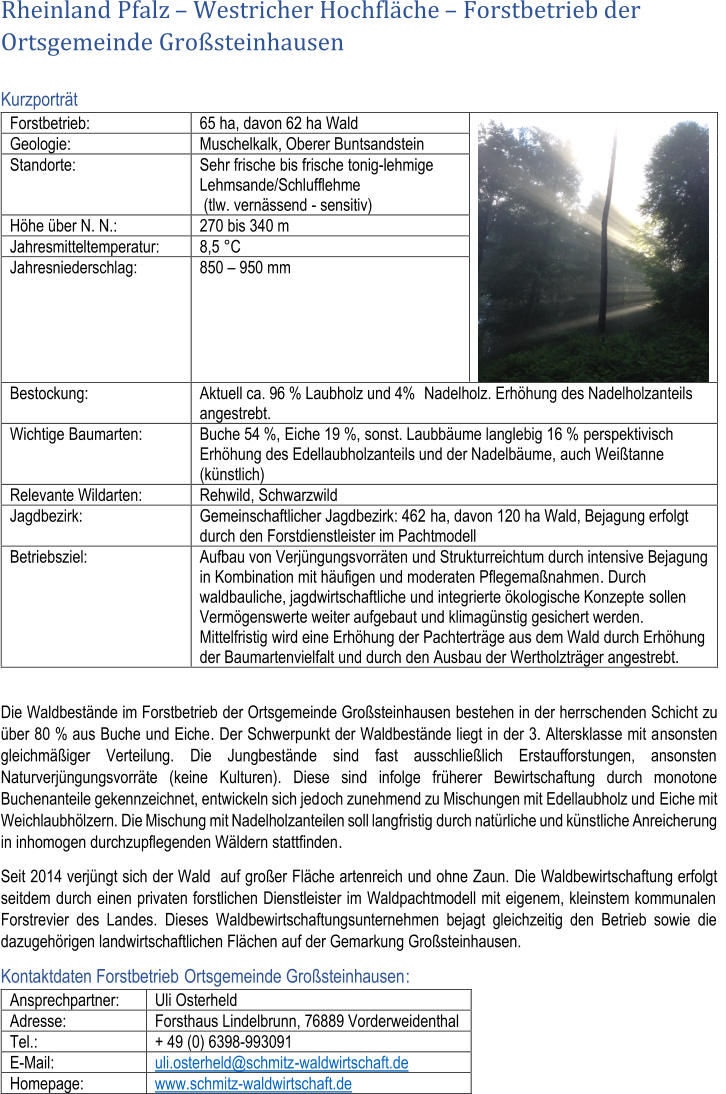 Rheinland Pfalz  Westricher Hochflche  Forstbetrieb  der  Ortsgemeinde Grosteinhausen Kurzportrt Forstbetrieb:    65   ha , davon 62   ha   Wald     Geologie:   Muschelkalk, Oberer Buntsandstein   Standorte:   Sehr   frische  bis  frische   tonig - lehmige  Lehmsande/ Schlufflehme     (tlw. vernssend  -   sensitiv)   Hhe ber N. N.:   270 bis 34 0  m   Jahresmitteltemperatur:   8,5   C    Jahresniederschlag:   850     950 mm   Bestockung:   Aktuell ca. 96 % Laubholz und 4%    Nadelholz.  Erhhung des Nadelholzanteils  angestrebt.   Wichtige  Baumarten :   Buche 54   %,  Eiche 19   %,  sonst. Laubbume langlebig 16 %   perspektivisch  Erhhung des Edellaubholzanteils und der Nadelbume,  auch Weitanne   (knstlich)       Relevante Wildarten:   Rehwild, Schwarzwild   Jagdbezirk:   Gemeinschaftlicher Jagdbezirk: 462   ha,   davon 120 ha Wald,   Bejagung erfolgt  durch den Forstdienstleister im Pachtmodell   Betriebsziel:   Aufbau von Verjngungsvorrten und Strukturreichtum durch intensive Bejagung  in Kombination mit hufigen und moderaten Pflegemanahmen . Durch  waldbauliche, jagdwirtschaftliche und integrierte kologische Konzepte  sollen  Vermgenswerte weiter aufgebaut   und klimagnstig gesichert werden.  M ittelfristig   wird eine Erhhung der Pachtertrge aus dem Wald durch Erhhung  der Baumartenvielfalt und   durch den Ausbau der Wertholztrger angestrebt.     Die Waldbestnde im Forstbetrieb  der Ortsgemeinde Grosteinhausen bestehen in der herrschenden Schicht zu  ber 80 % aus Buche und Eiche .  Der Schwerpunkt der Waldbestnde liegt in der 3. Altersklasse mit a nsonsten  gleichmiger Verteilung.  Die Jungbestnde sind fast ausschlielich Erstaufforstungen, ansonsten  Naturverjngungsvorrte (keine Kulturen). Diese sind infolge frherer Bewirtschaftung durch monotone  Buchenanteile gekennzeichnet, entwickeln sich jed och zunehmend zu Mischungen mit Edellaubholz und Eiche mit  Weichlaubhlzern. Die Mischung  mit  Nadelholzanteilen soll langfristig  durch natrliche und knstliche Anreicherung  in inhomogen durchzupflegenden Wldern stattfinden .  Seit 2014 verjngt sich der W ald  auf groer  Flche artenreich und ohne Zaun. D ie Waldbewirtschaftung erfolgt  seitdem d urch einen privaten forstlichen Dienstleister im Waldpachtmodell mit eigenem, kleinstem kommunalen  Forstrevier des Landes. Dieses Waldbewirtschaftungsunternehmen bejagt gleichzeitig den Betrieb sowie die  dazugehrigen landwirtschaftlichen Flchen auf der Gemarkung Grosteinhausen. Kontaktdaten Forstbetrieb  Ortsgemeinde Grosteinhausen : Ansprechpartner:   Uli Osterheld   Adresse:   Forsthaus Lindelbrunn, 76889 Vorderweidenthal   Tel.:   + 49 (0)  6398 - 993091   E - Mail:   uli.osterheld@schmitz - waldwirtschaft.de   Homepage:    www.schmitz - waldwirtschaft.de